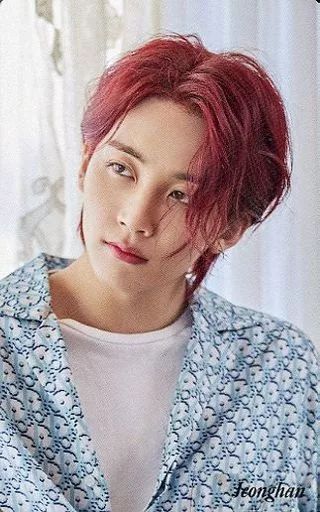 SEVENTEEN your choice HMV 第2弾 ジョンハン SEVENTEEN IN Your Choice HMV OFFICIAL PHOTO CARD JEONGHAN
