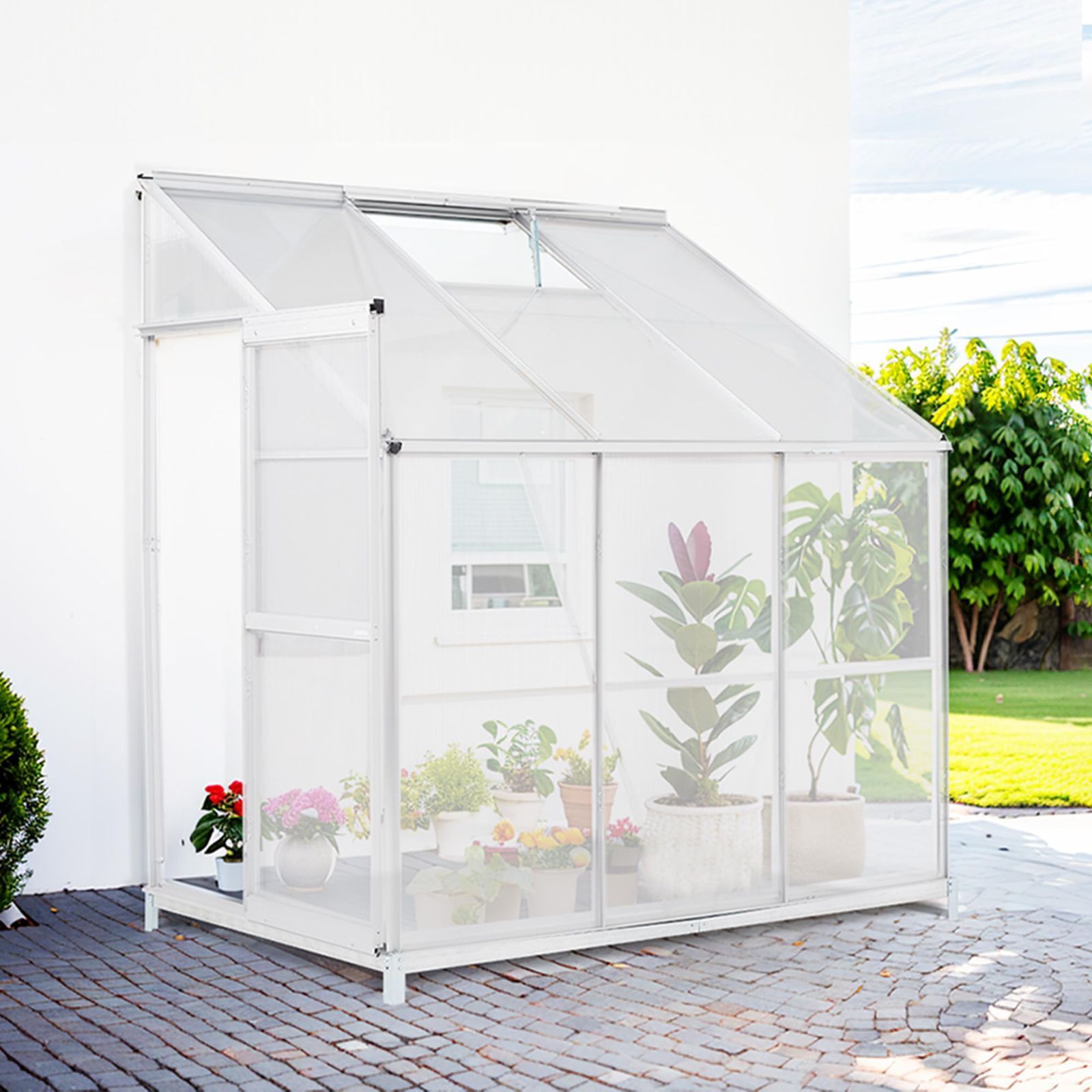 訳あり☆種用ジャンボにんにくバラ 箱別13キロ 愛知県産 栽培期間中