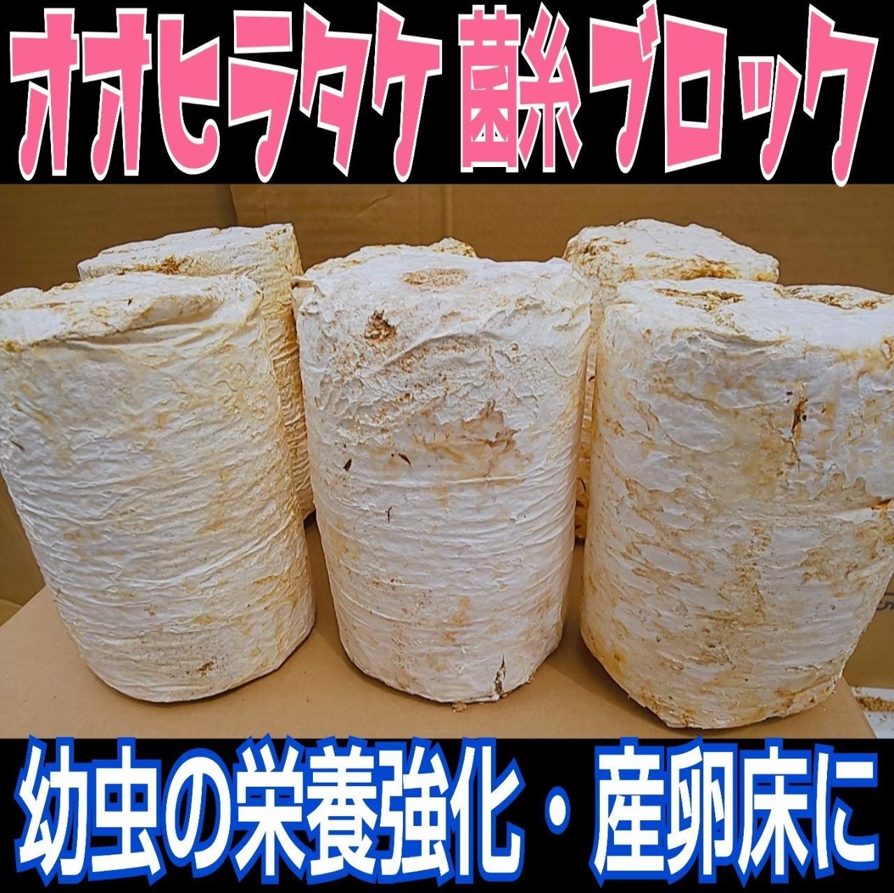 【20ブロック】オオヒラタケ菌床　カブトムシ幼虫の栄養強化に！クワガタの産卵材に 20ブロック】オオヒラタケ菌床 カブトムシ幼虫の栄養強化に！クワガタ