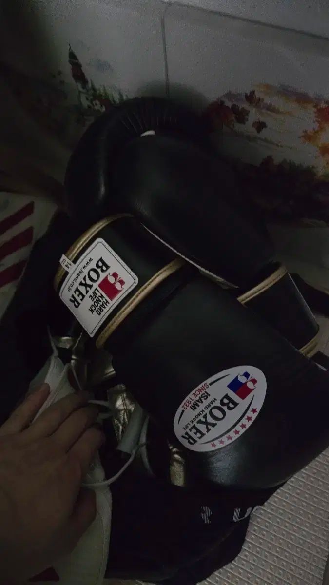 武居由樹　直筆サイン　ボクシング　グローブ　世界チャンピオン　 8oz　新品 武居由樹 直筆サイン ボクシング グローブ 世界チャンピオン 8oz 新品