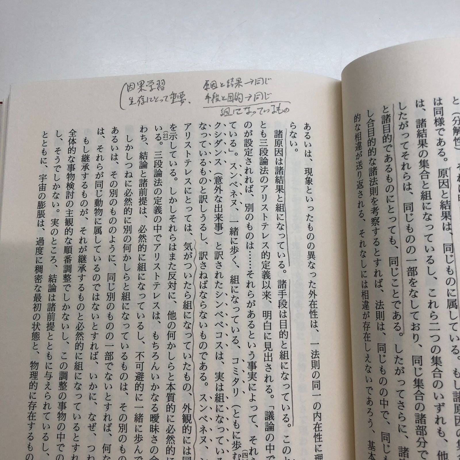 【美本】【初版】想念が社会を創る　コルネリュウス・カストリアディス 美本】【初版】想念が社会を創る コルネリュウス・カストリア
