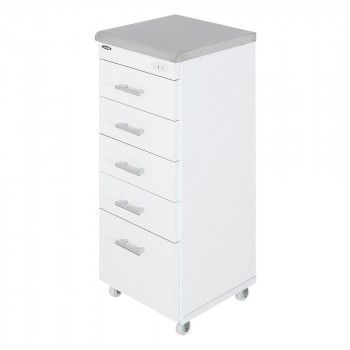 ステンレスすき間ワゴン 幅30cm SK-30