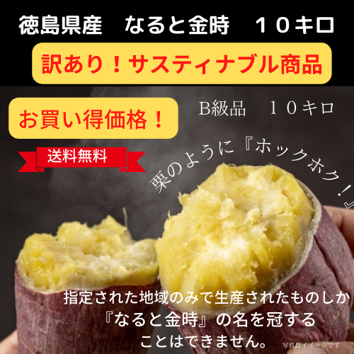 送料無料 お得❕今期最後！なると金時 B品/不揃いですが美品 １０キロ