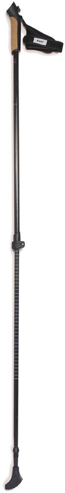 ノーザンカントリー northern country スキー northern country ノルディックポール 2本セット TR3024 BK BK