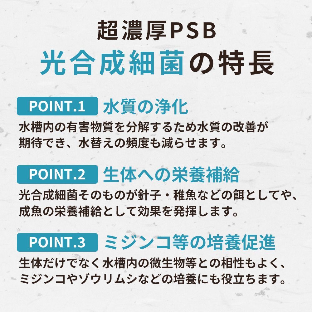 超濃縮 PSB 光合成細菌 メダカ ミジンコ 餌 (300ml) - 水質管理