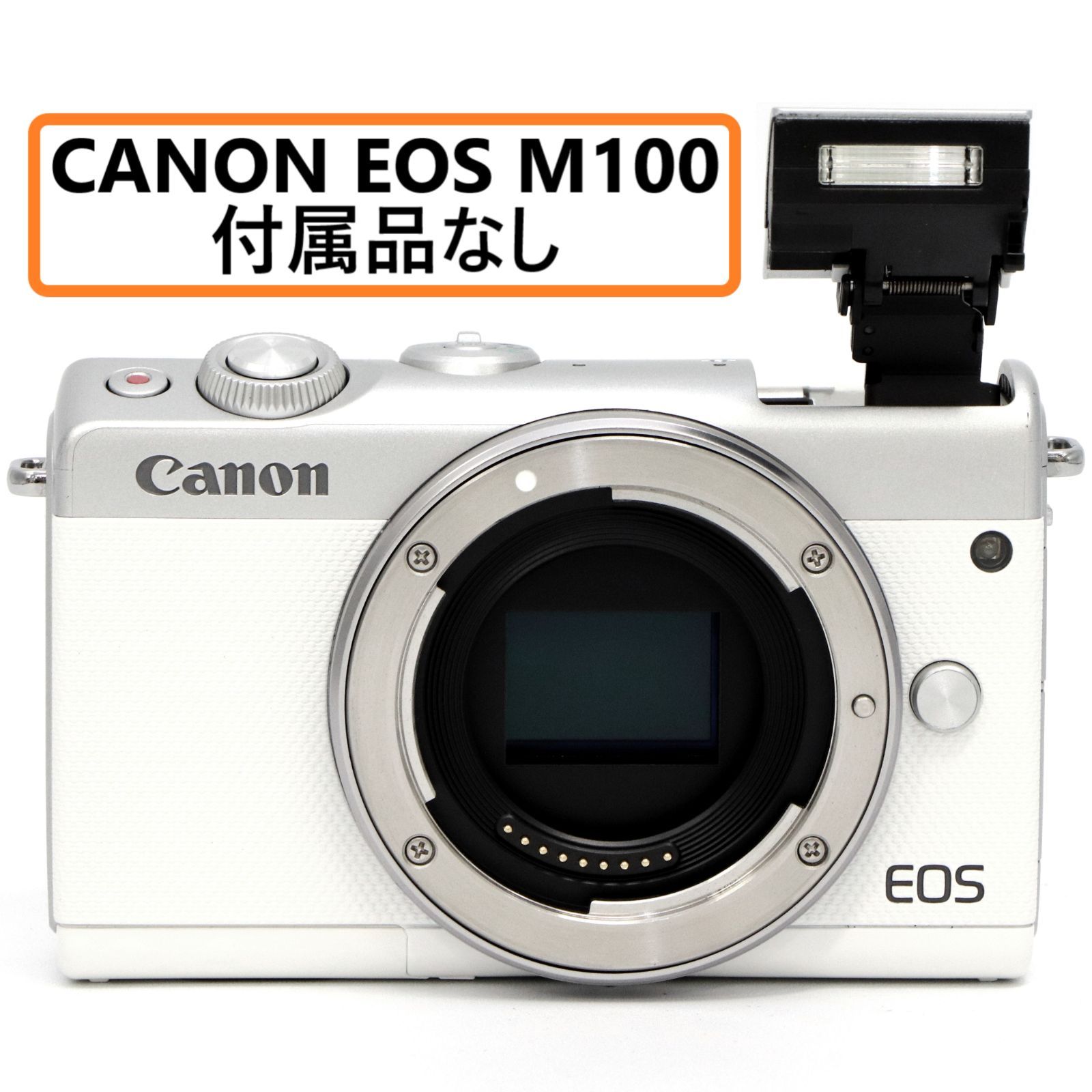 シーリングライト Canon ミラーレス一眼カメラ EOS M100 ボディー