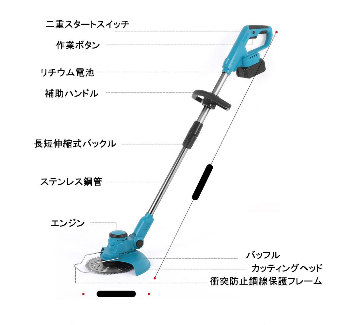 女性 hw1220