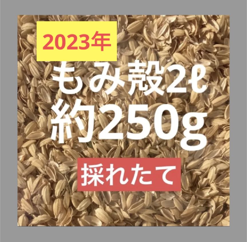 もみがら 2L ガーデニング もみ殻 - 米・雑穀・粉類