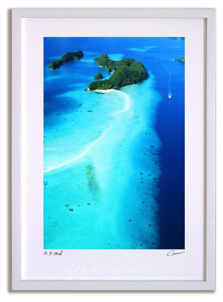 アートフォト 版画（ジクレー版画） 2点セット 海 イルカ 魚