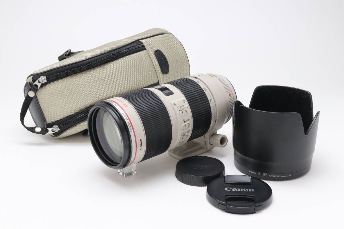 ⭐️美品⭐️ Canon EF 75-300mm F/4-5.6 III 望遠レンズ Nikon AF-P DX 70-300 f/4.5-6.3G ED VR（Nikon AF-P DX Nikkor