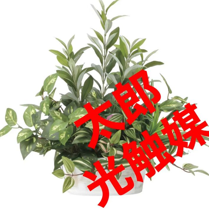 光触媒 人工観葉植物 ウォールグリーン フェイクグリーン 寄せ植え