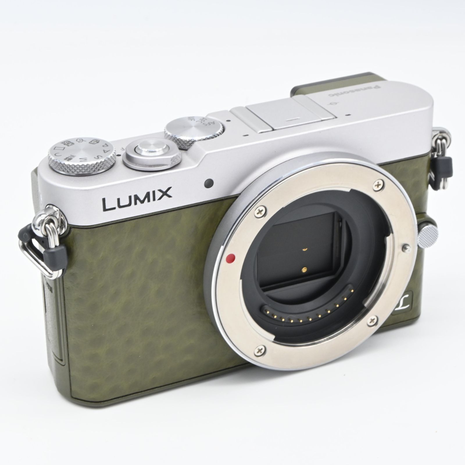 Panasonic Lumix GM5 レンズキット Panasonic LUMIX GM5 + 12-32mm