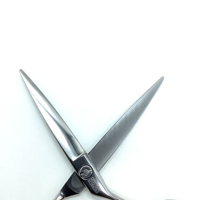 ミズタニシザーズ ミズタニシザーMIZUTANI SCISSORS】TWIG S