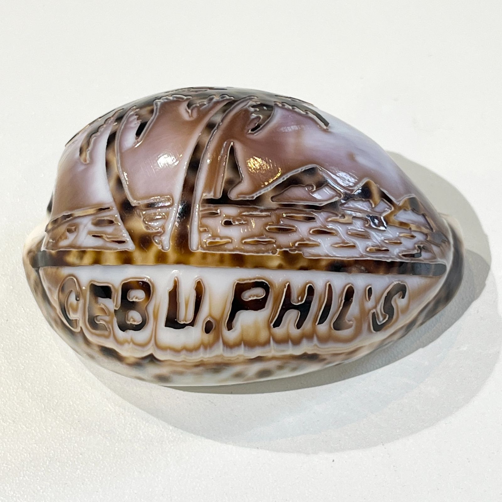 中古【貝殻彫刻】フィリピン セブ島 ホシダカラガイ お土産 [C