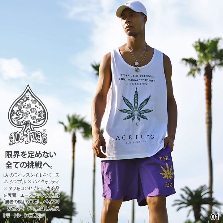 バーバリー【ノバチェック×ロゴ刺繍／刻印入り金釦】ジップアップ