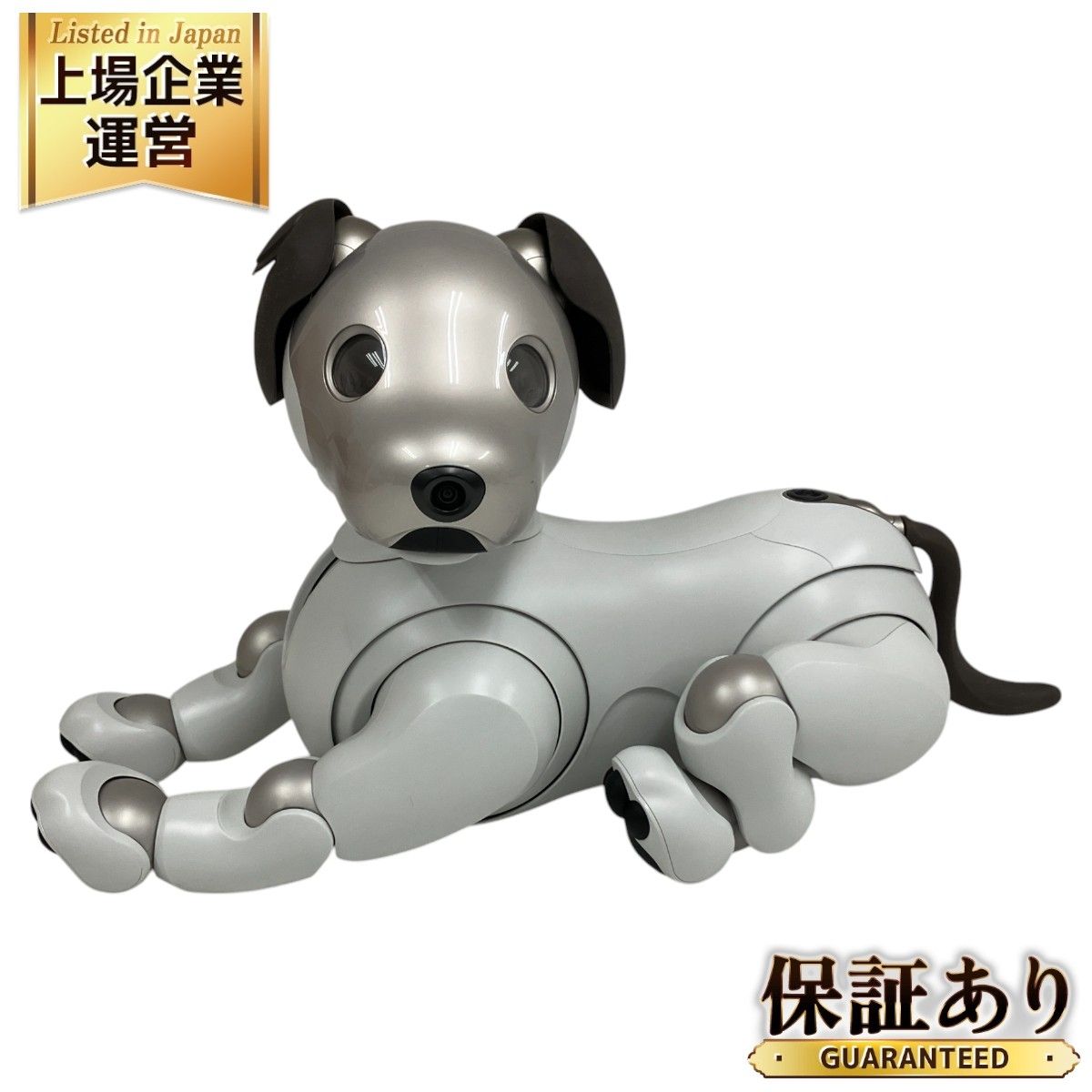 SONY ソニー AIBO ERS-1000 バーチャルペット ロボット 犬型 アイボ 家電 アクセサリー付 中古 良好 O9245570 - メルカリ