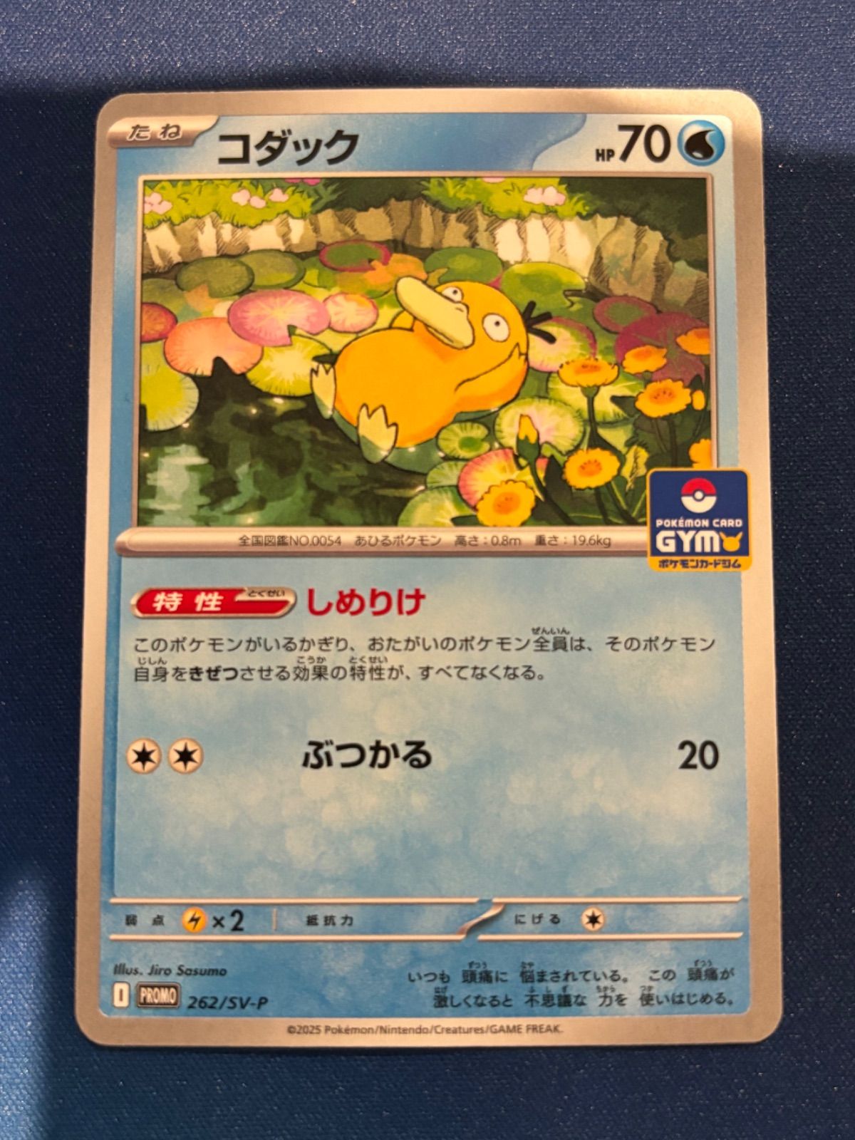 コダック | ポケモンカードゲーム公式ホームページ