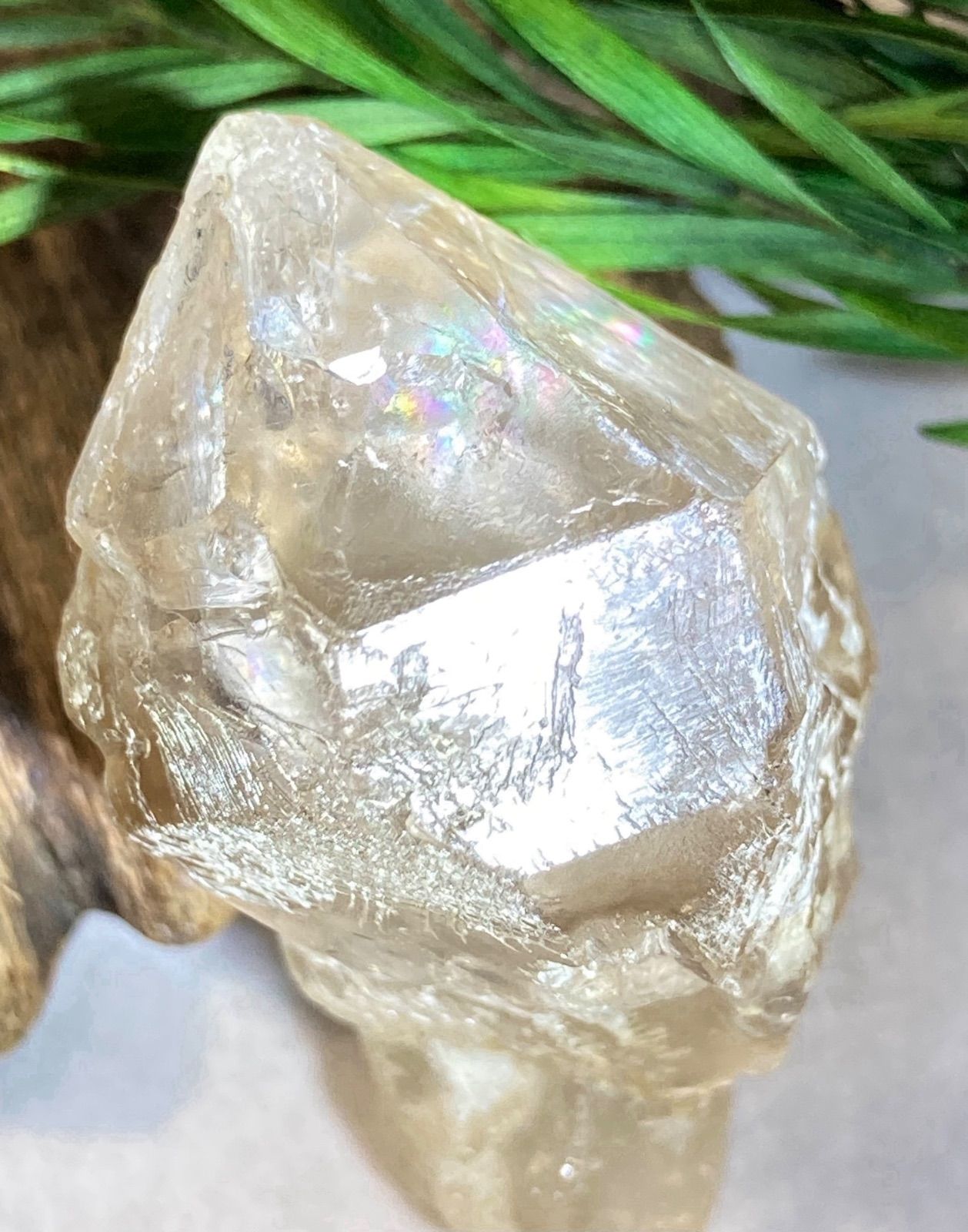 ルチル内包　スモーキー エレスチャル クォーツ 骸骨水晶　原石　ラフストーン ルチル内包✨スモーキー エレスチャル クォーツ 骸骨水晶原石ラフ