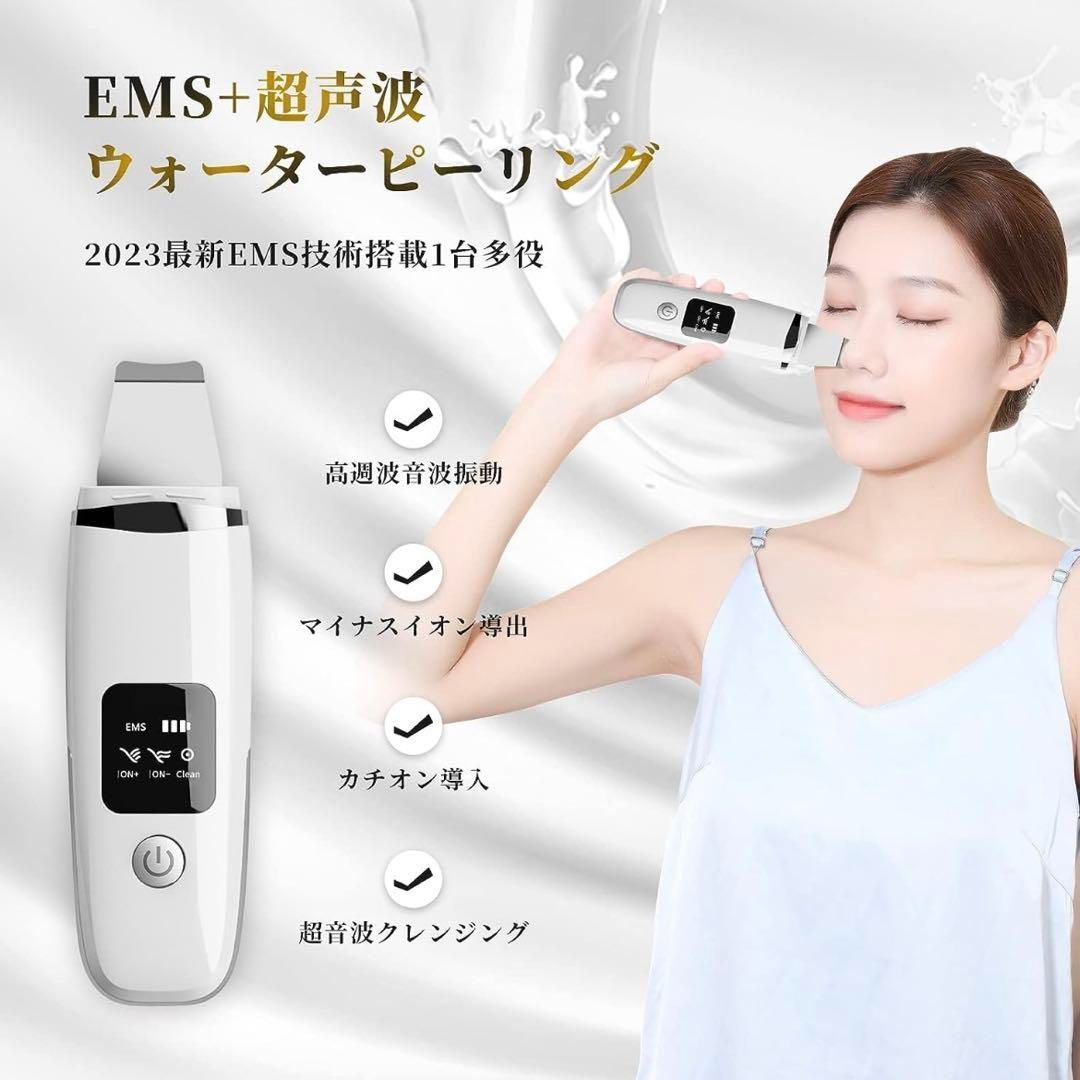 美容器 多機能美顔器 自宅用 RF美顔器 イオン導入 EMS 1台多役