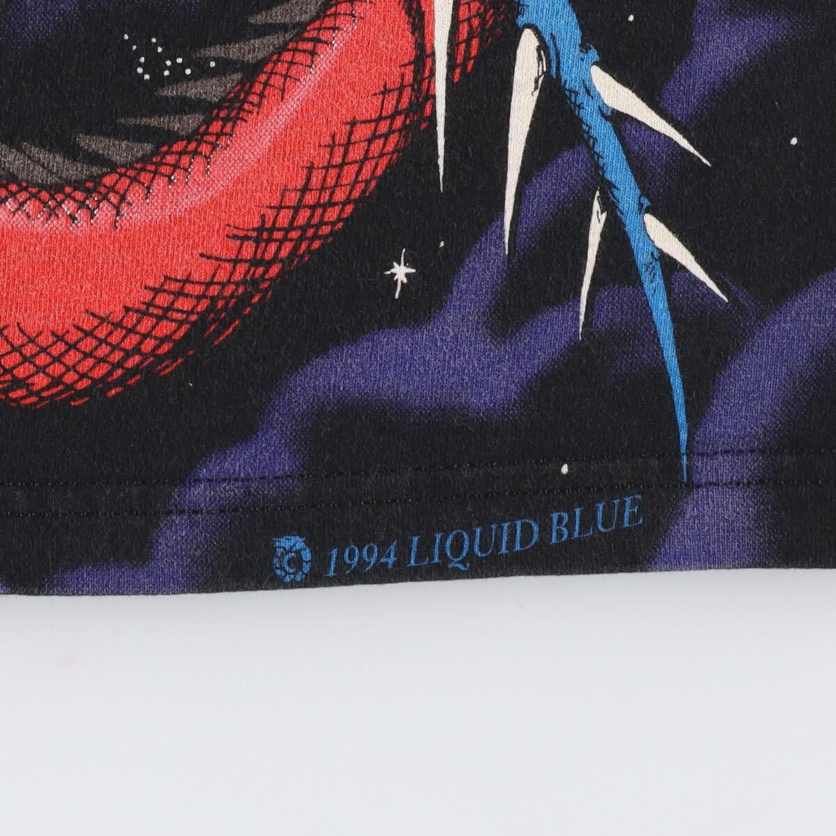 古着 90年代 フルーツオブザルーム FRUIT OF THE LOOM LIQUID BLUE 