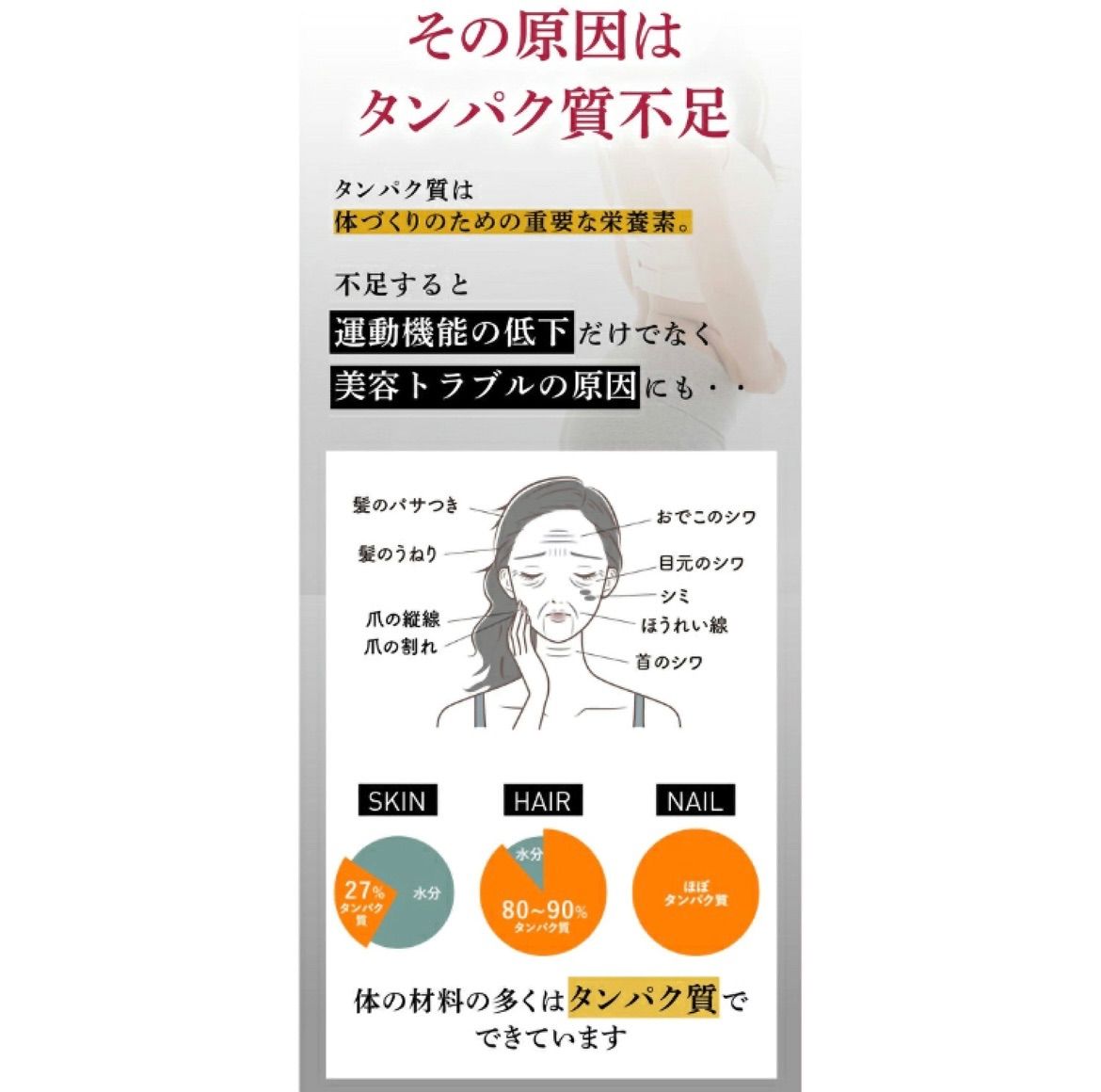 ビーメイクプロテイン ペプチドプロテイン