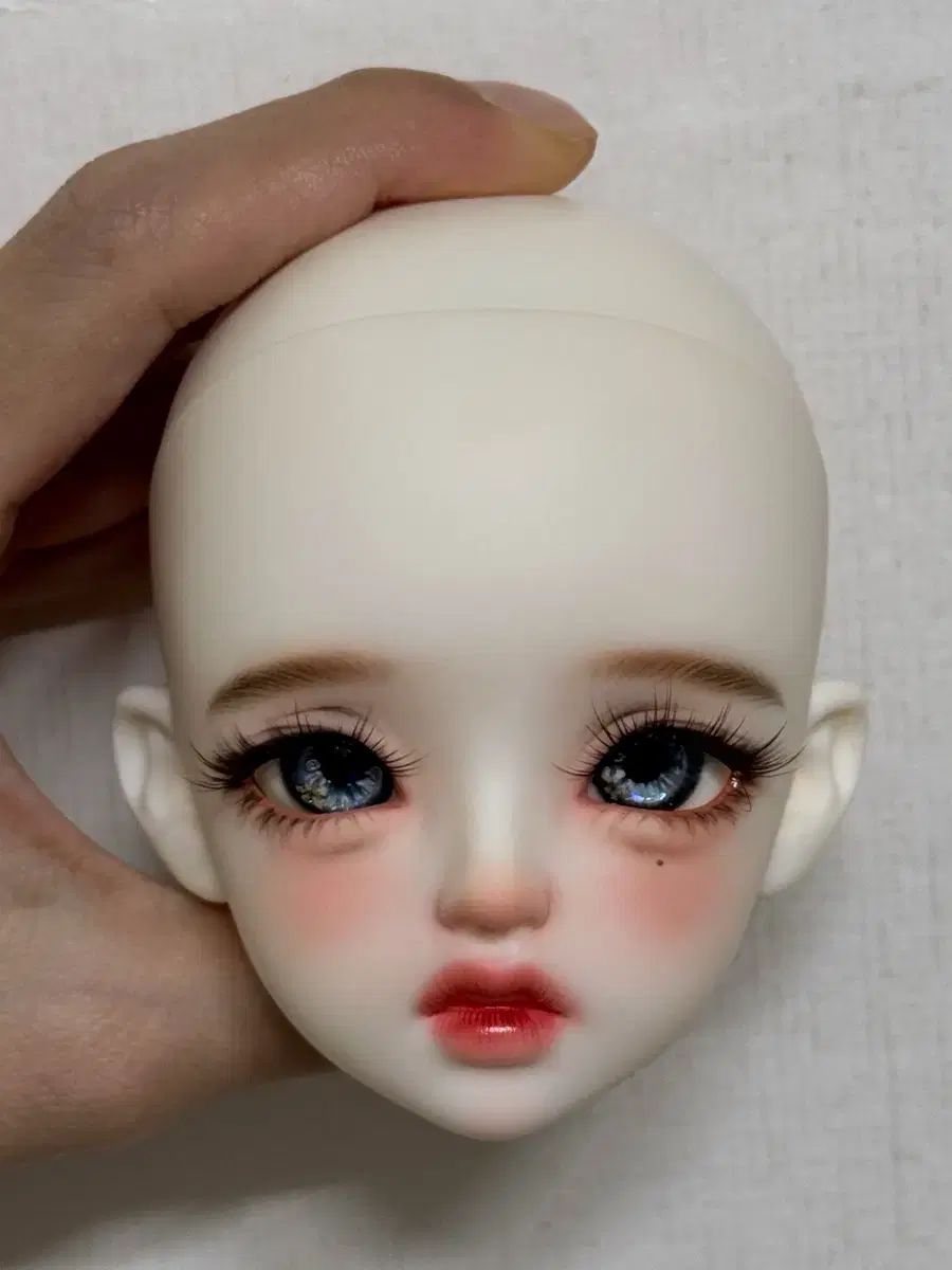 スティラ 60