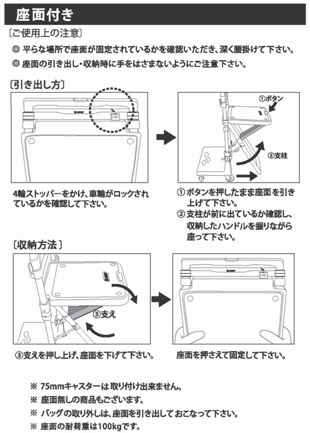 SWANY スワニー 座れる キャリーバッグ D-554 プレーネⅢ 座面付 L21