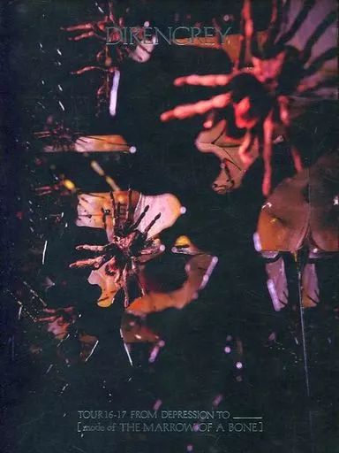 中古】邦楽Blu-ray Disc DIR EN GREY / TOUR16-17 FROM