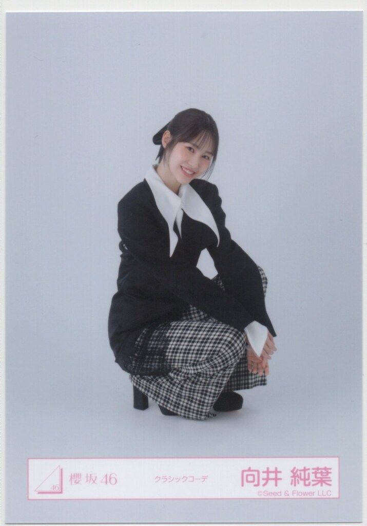 櫻坂46　向井純葉 直筆サイン　5th Tour 縁日　特賞　ドームスタンド 櫻坂46 向井純葉 直筆サイン 5th Tour 縁日 特賞 ドームスタンド
