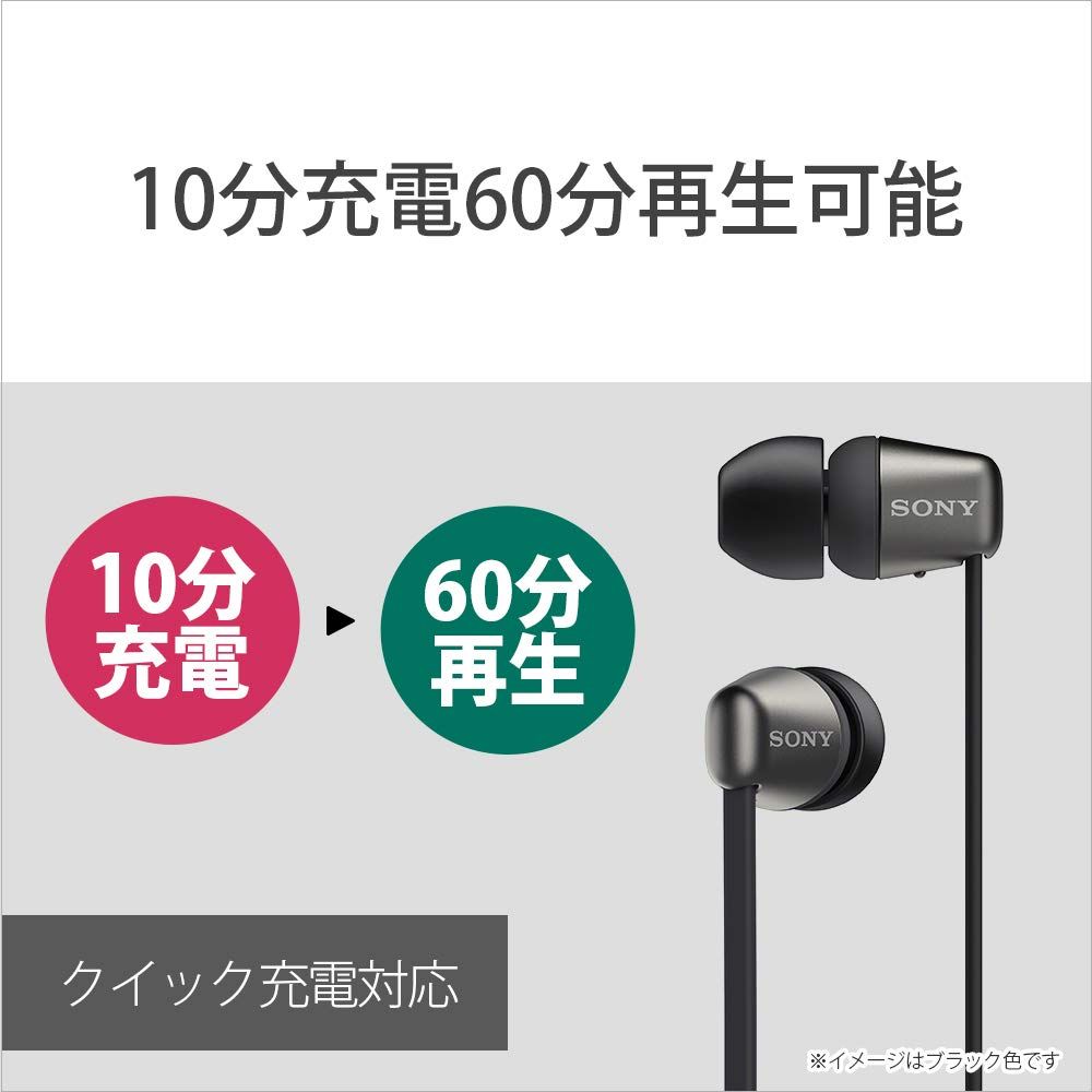BC ブラック