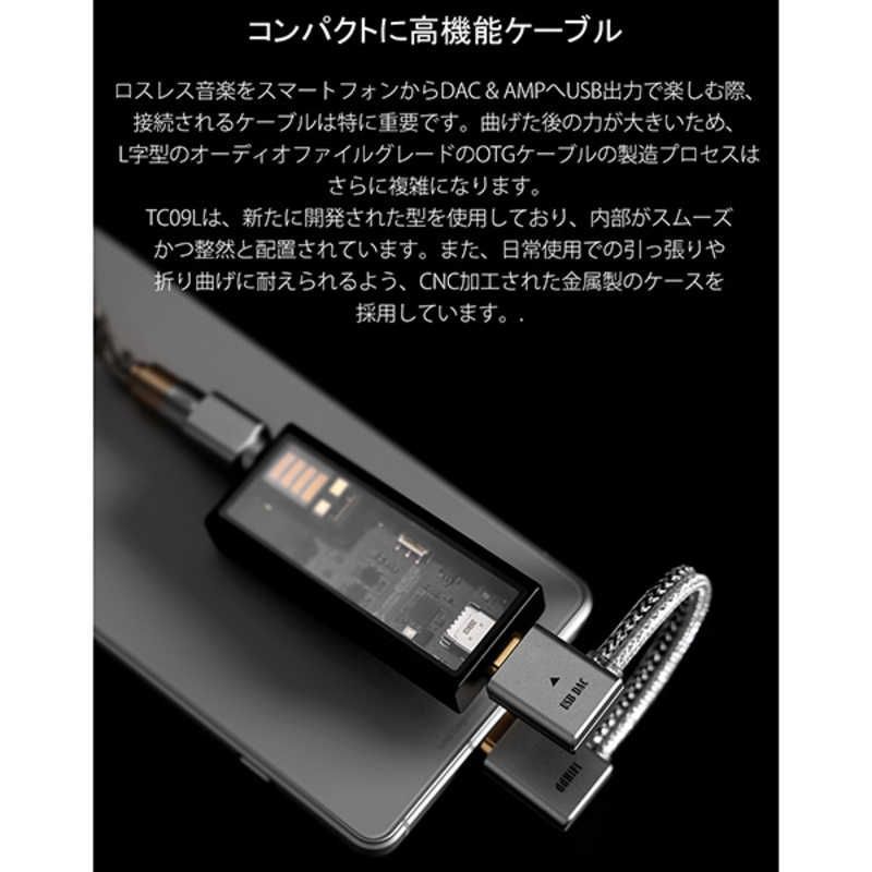 未開梱 DDHIFI ポータブルオーディオ USB-C to USB-C OTGケーブル TC09L