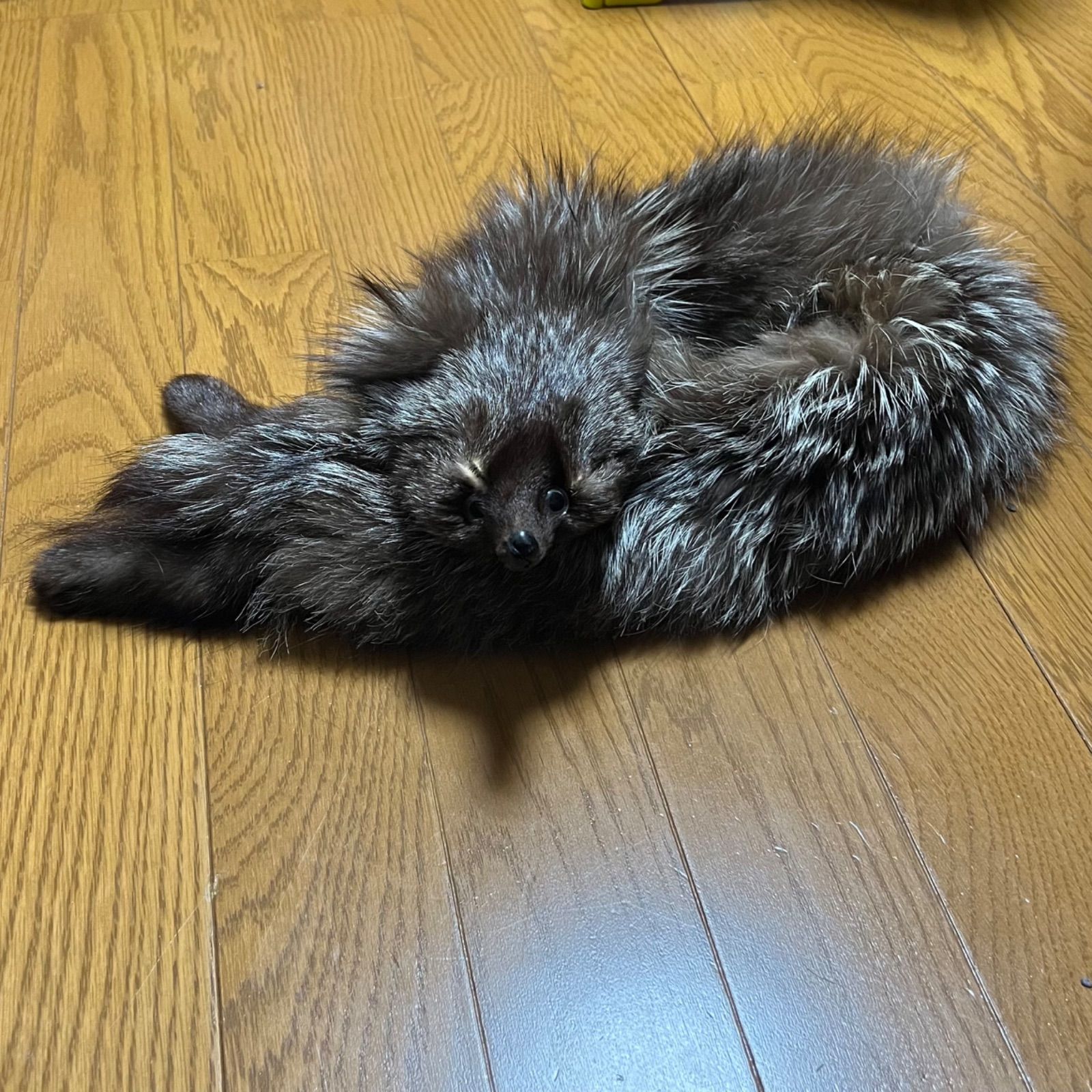 キツネのマフラー 本毛皮 昭和レトロ - メルカリ