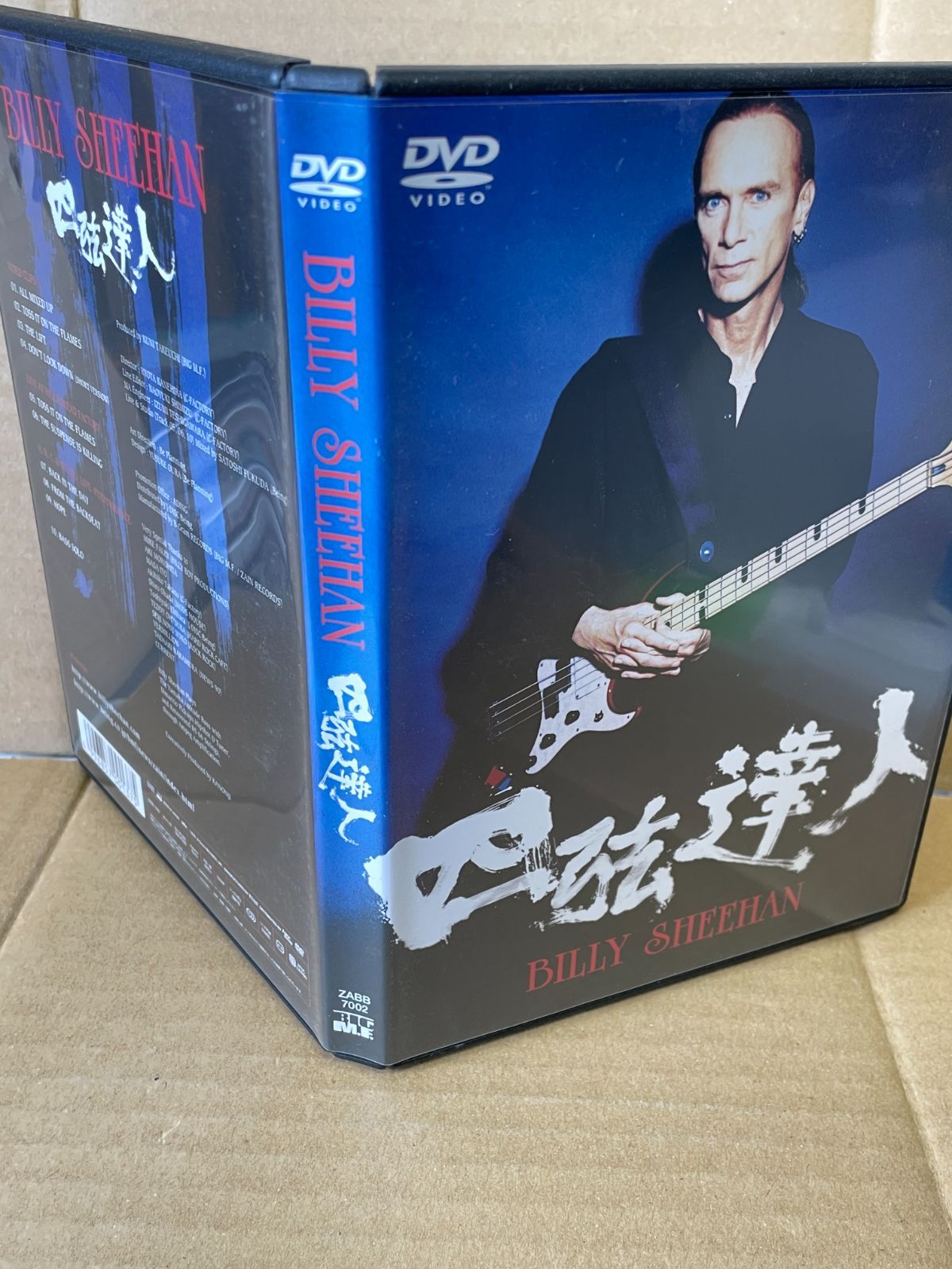 ビリーシーン DVD 四弦達人 BILLY SHEEHAN 日本盤52分収録 日本