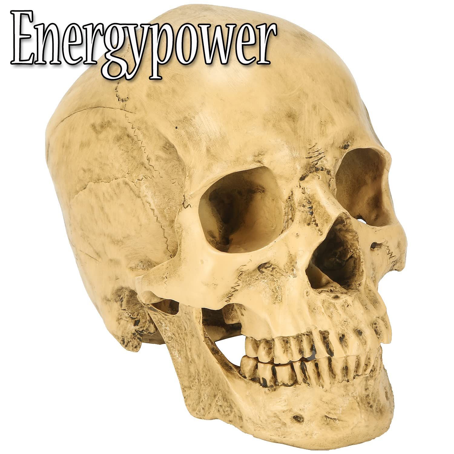 ガイコツ　パーク様　送料等　専用 Gamakatsu がまかつ ラグゼ 桜幻 カスタムフックリーダー 15m