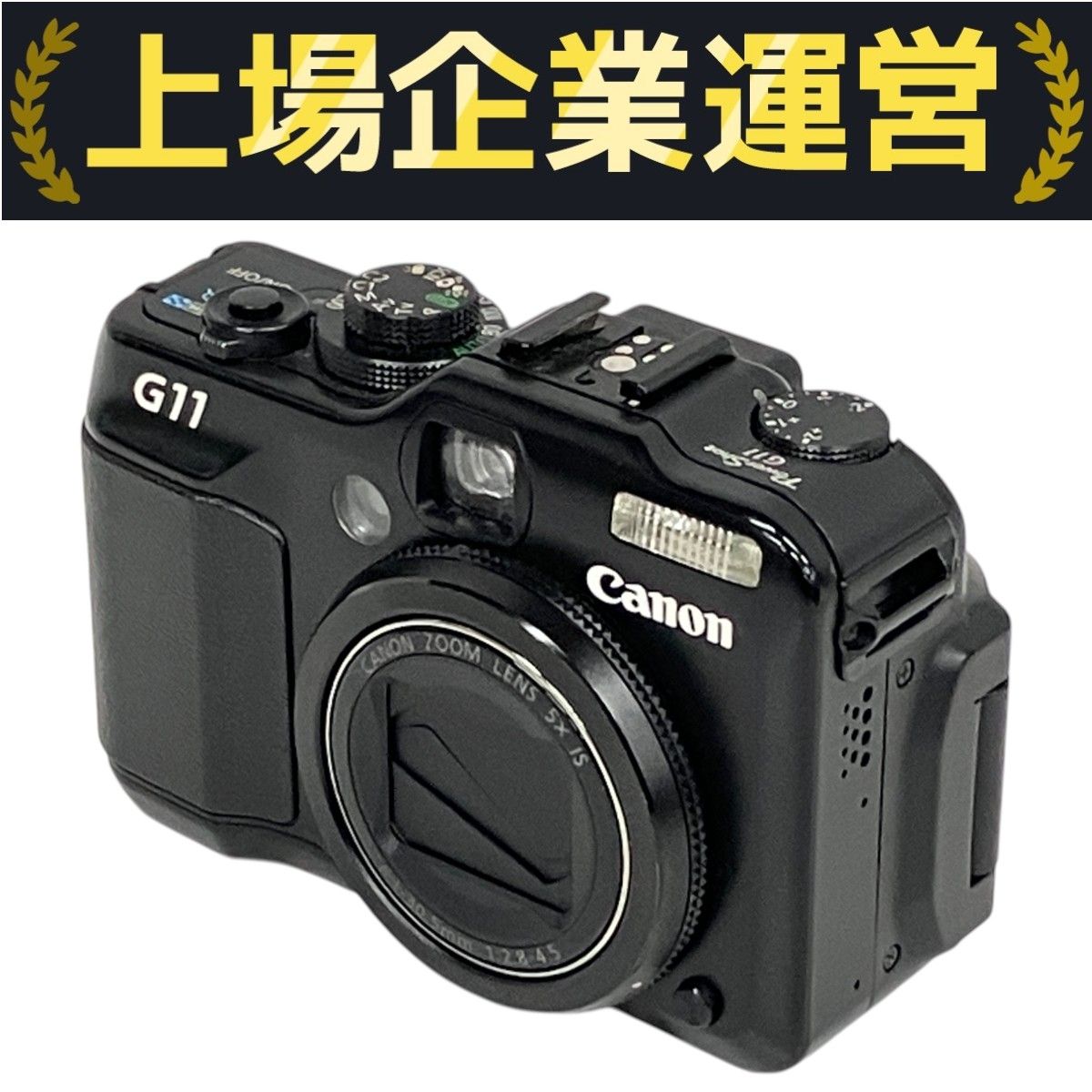 Panasonic デジタルビデオカメラNV-GS300-S 本体 Amazon.co.jp