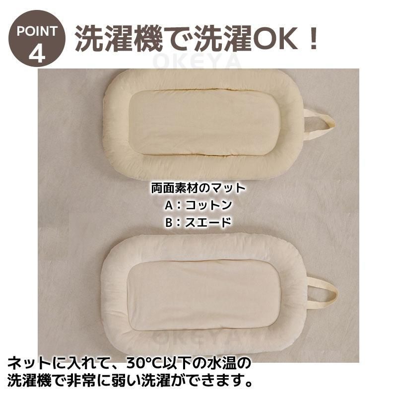 バギー ドッグ