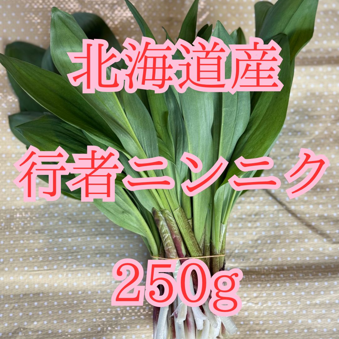 北海道道北産天然行者ニンニク250g スーパーフード