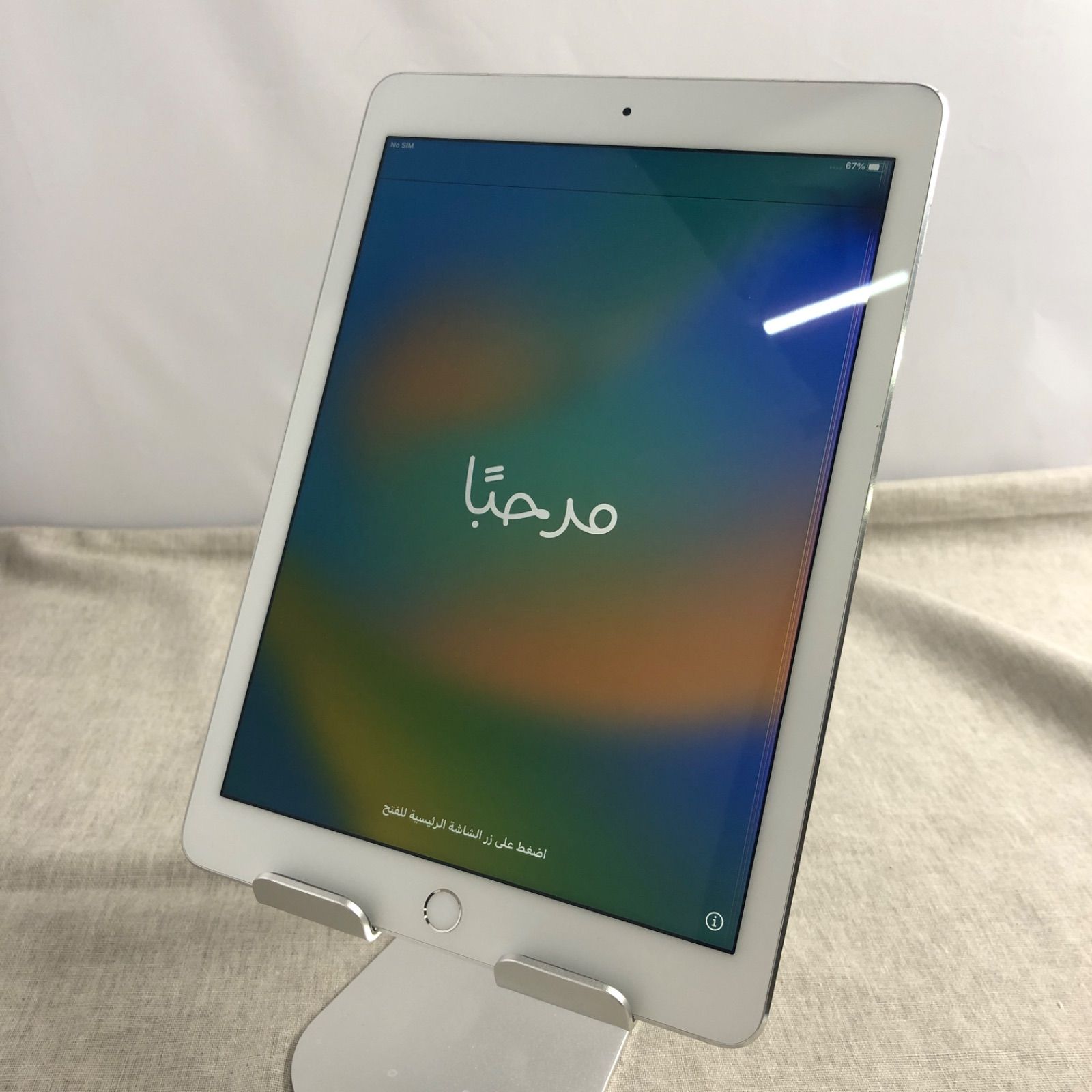 ◇ジャンク品◇iPad Pro 9.7インチ 32GB【画面表示不良あり】/TL-JUNK