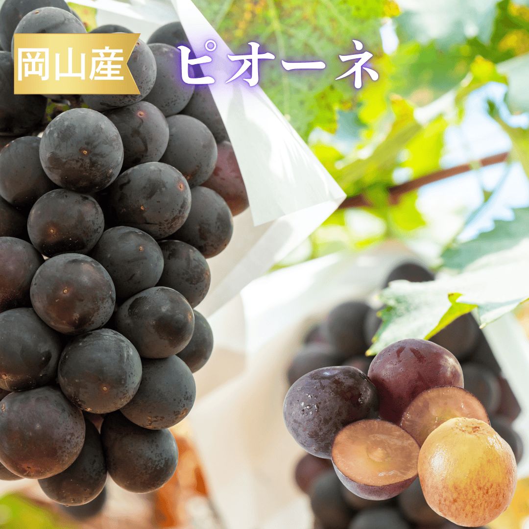 クール便 岡山産