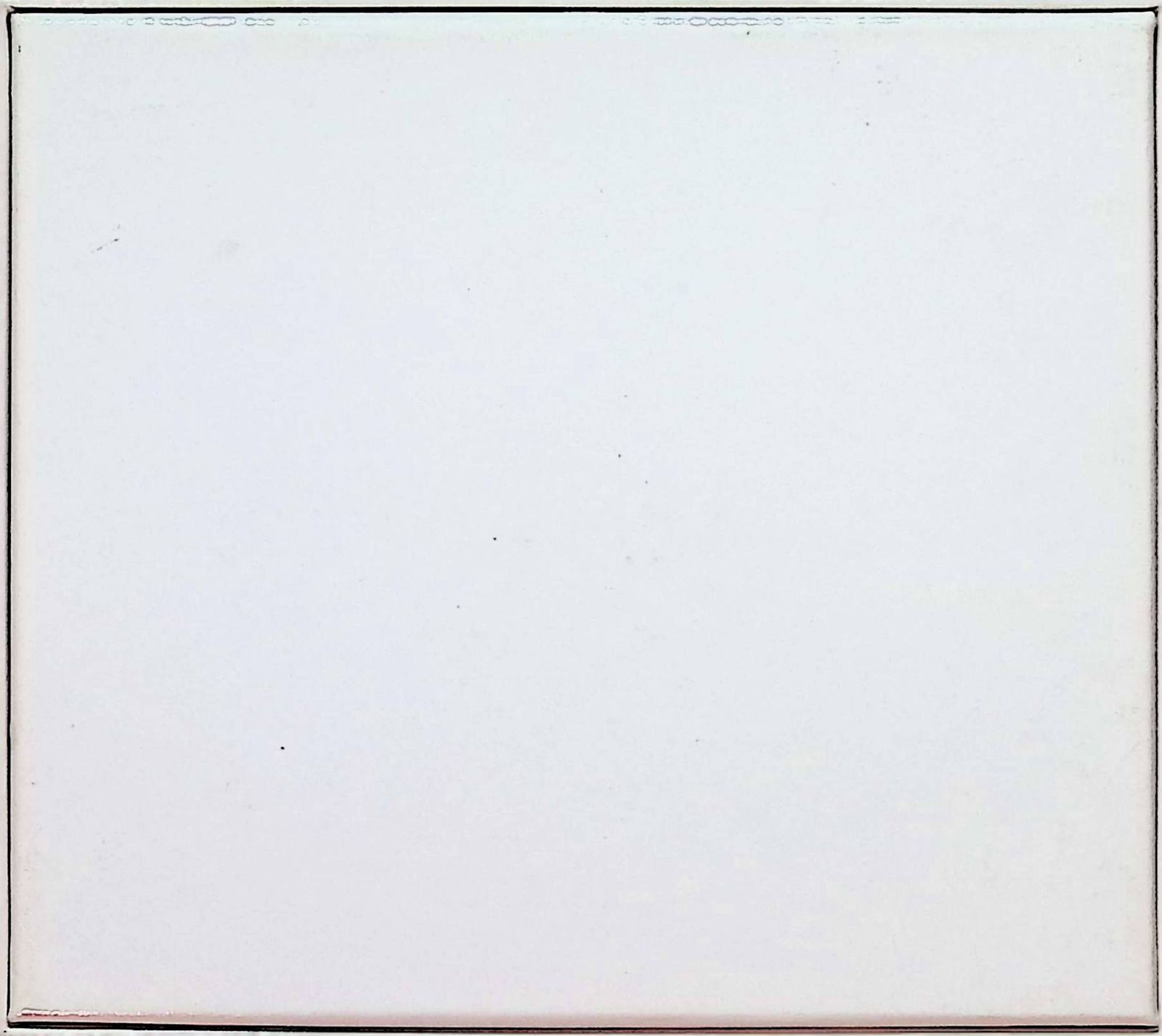 great white wonder RARE MASTERS 1990～1996 / PIZZICATO FIVE
