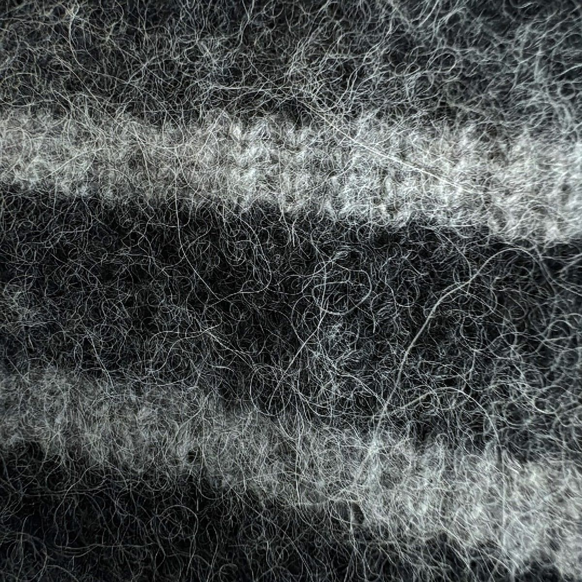 クルーネック ボーダー