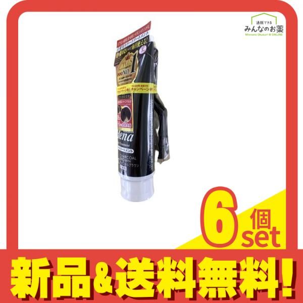 テンスター ヘナ カラートリートメント6c チャコールブラウン 10本
