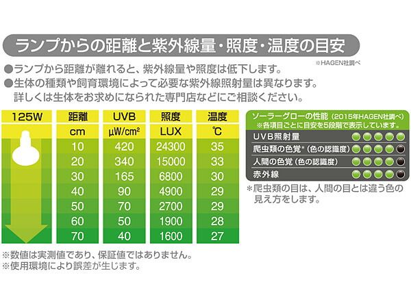 爬虫類用品