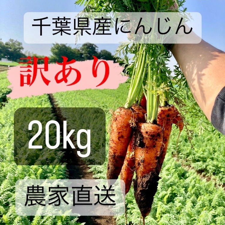 訳ありニンジン 20kg 千葉県産 農家直送 - メルカリ