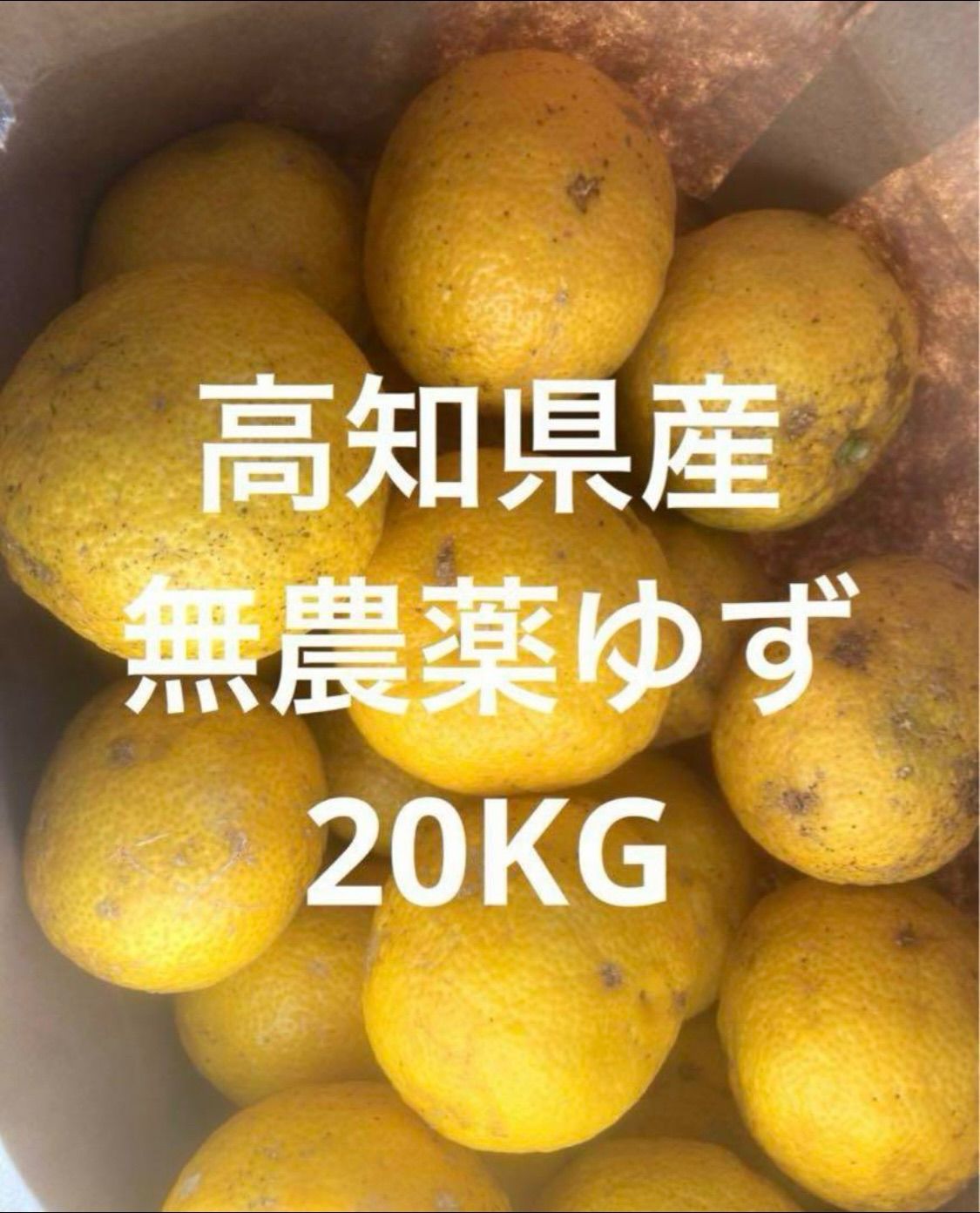 高知県産 農薬不使用 ゆず20kg ショップ 高知県産 無農薬ゆず 20kg 自然栽培】高知県産 農薬不使用
