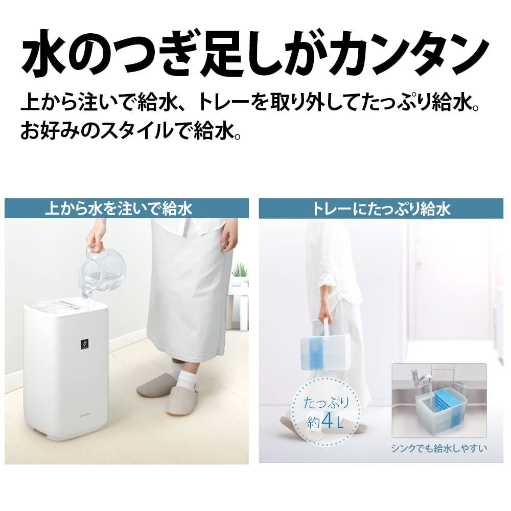 加湿量 750mL|h
