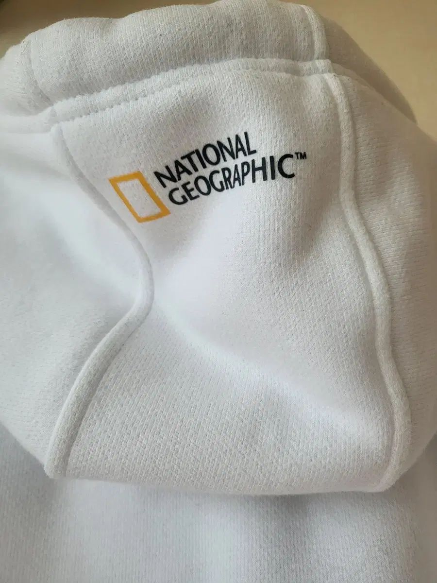 裏起毛 フード付きTシャツ