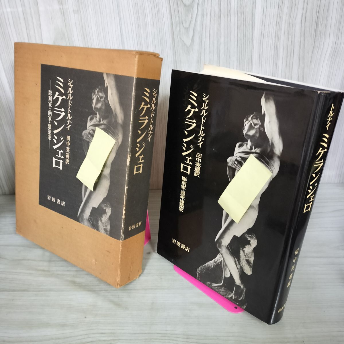 ミケランジェロ 彫刻家・画家・建築家 シャルル・ド・トルナイ著 田中