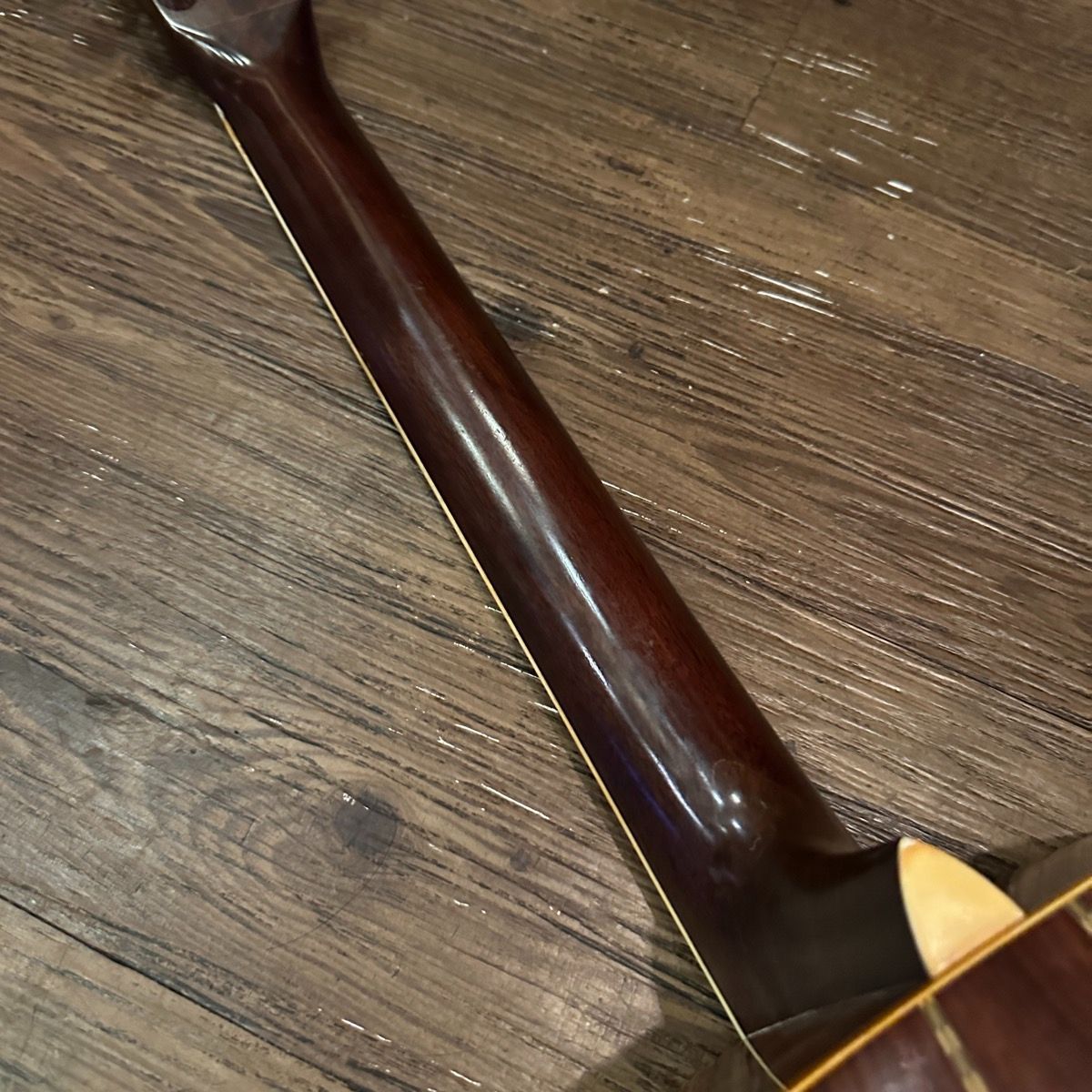 Fernandes W-300 石ロゴ Acoustic Guitar アコースティックギター