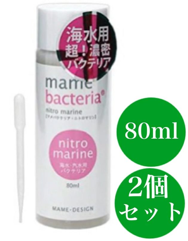 茶道具 木彫り 光銘 薪香合 舟香合など 5点まとめて V R9286
